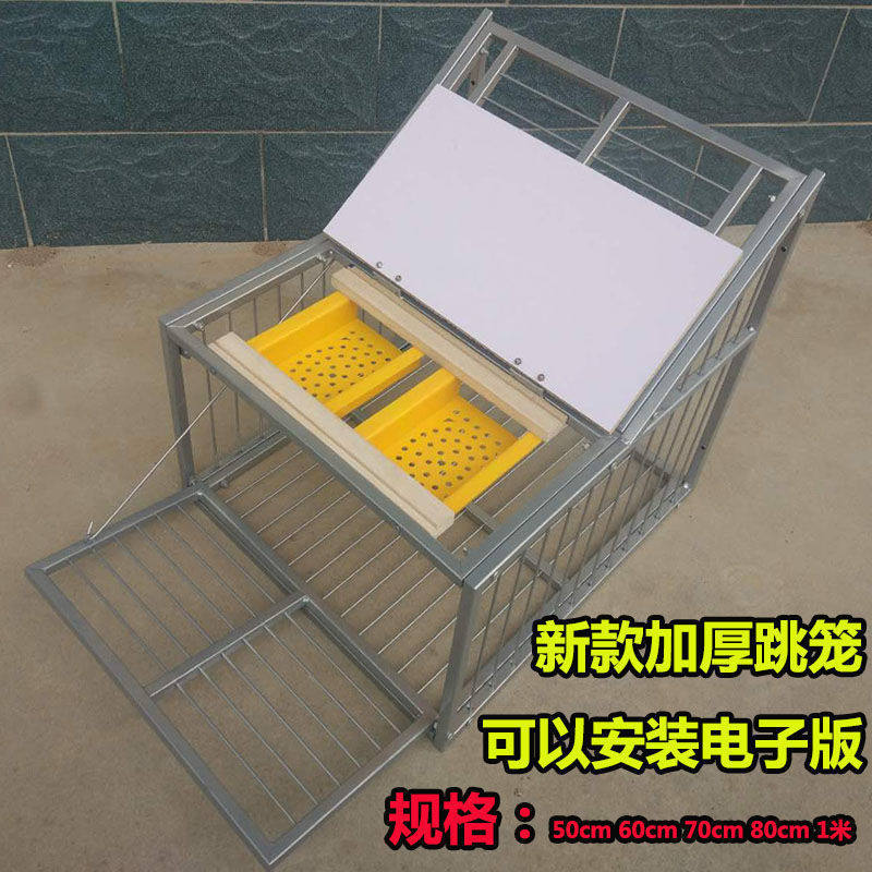 鸽子跳笼进出门信鸽赛进用品鸽舍只鸽不出笼门撞门电子跳笼