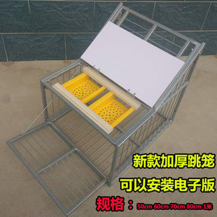 鸽子跳笼进出门信鸽赛进用品鸽舍只鸽不出笼门撞门电子跳笼
