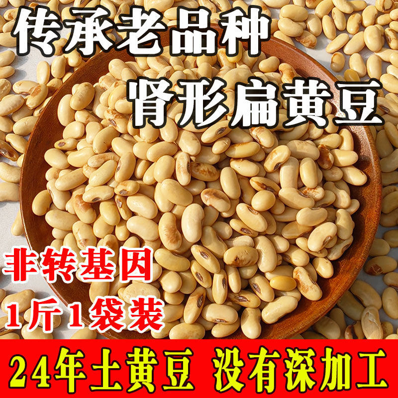 速发老品种非转基因 肾形扁自种 陕北农家黄豆 土黄豆 小黄豆打豆