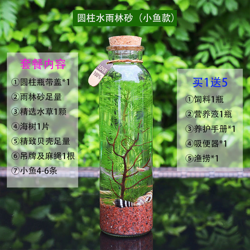 自循环生态瓶造景桌面摆件生态迷你免打理成品微景观小型玻璃鱼缸