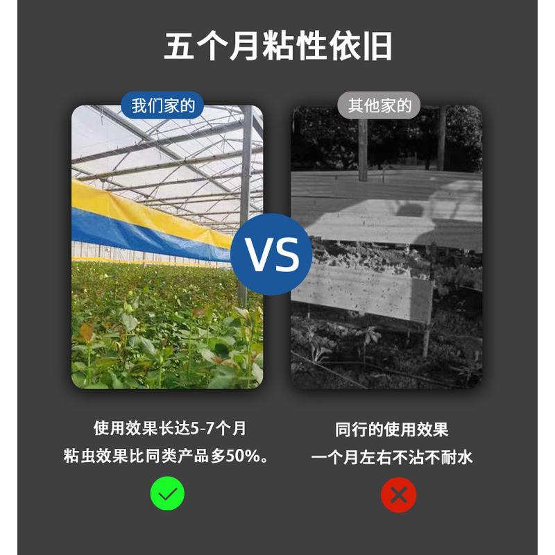 双面粘虫胶带果园大棚蝇黄色沾虫纸板粘虫带驱灭蚊虫粘板果园防水