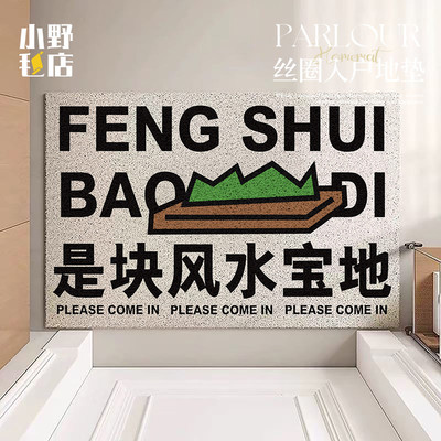 进门地垫艺术家入口门垫入户门脚垫防滑除尘蹭土丝圈地垫地毯进门