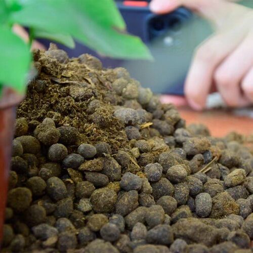 代加工腐熟羊粪养花有机肥营养土纯羊粪发酵用果蔬通用牧畜粪便