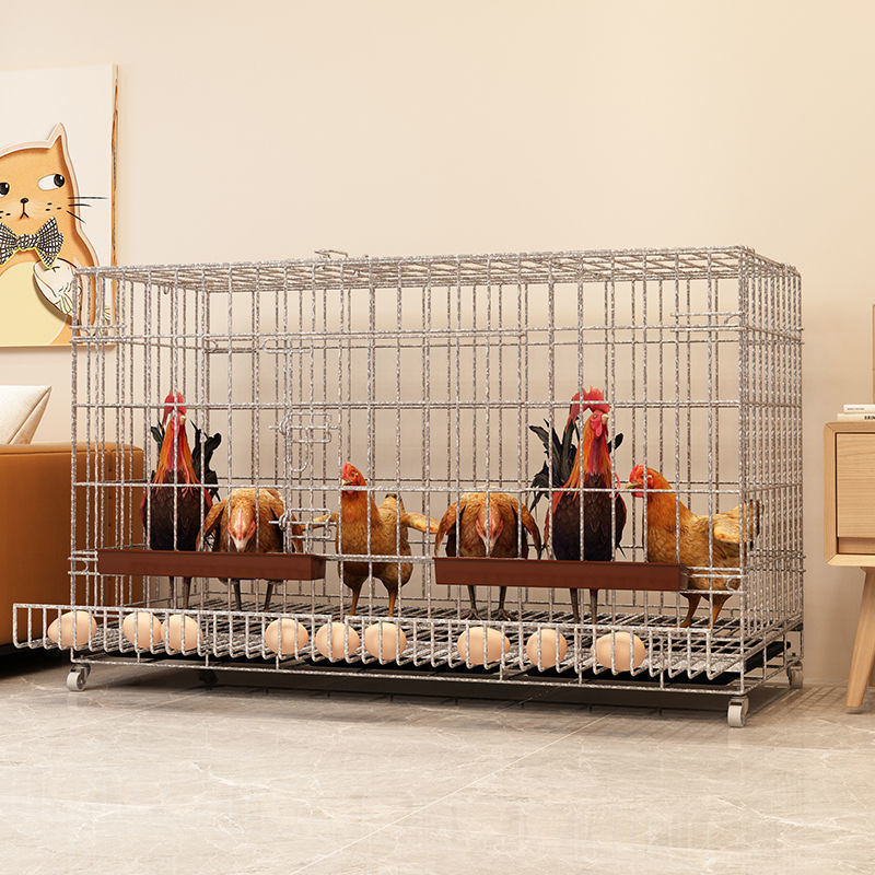 小鸡笼子家用鸡笼室外子大号自动清粪养鸡笼鸭室内鸽子鸡窝笼好看