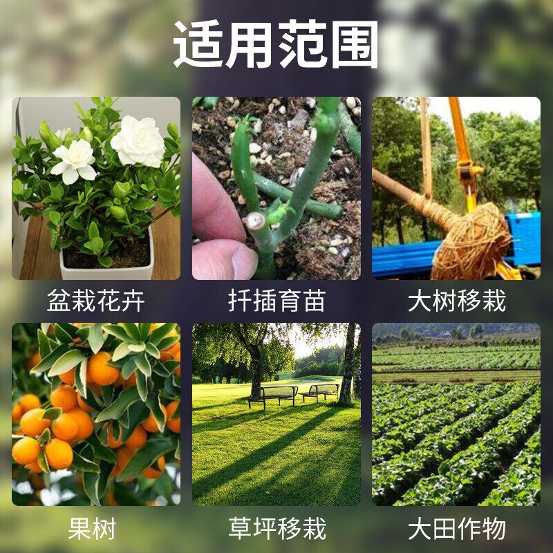 生根液移栽剂扦插移植多肉花卉植物营养液强力生根剂壮苗发根花苗