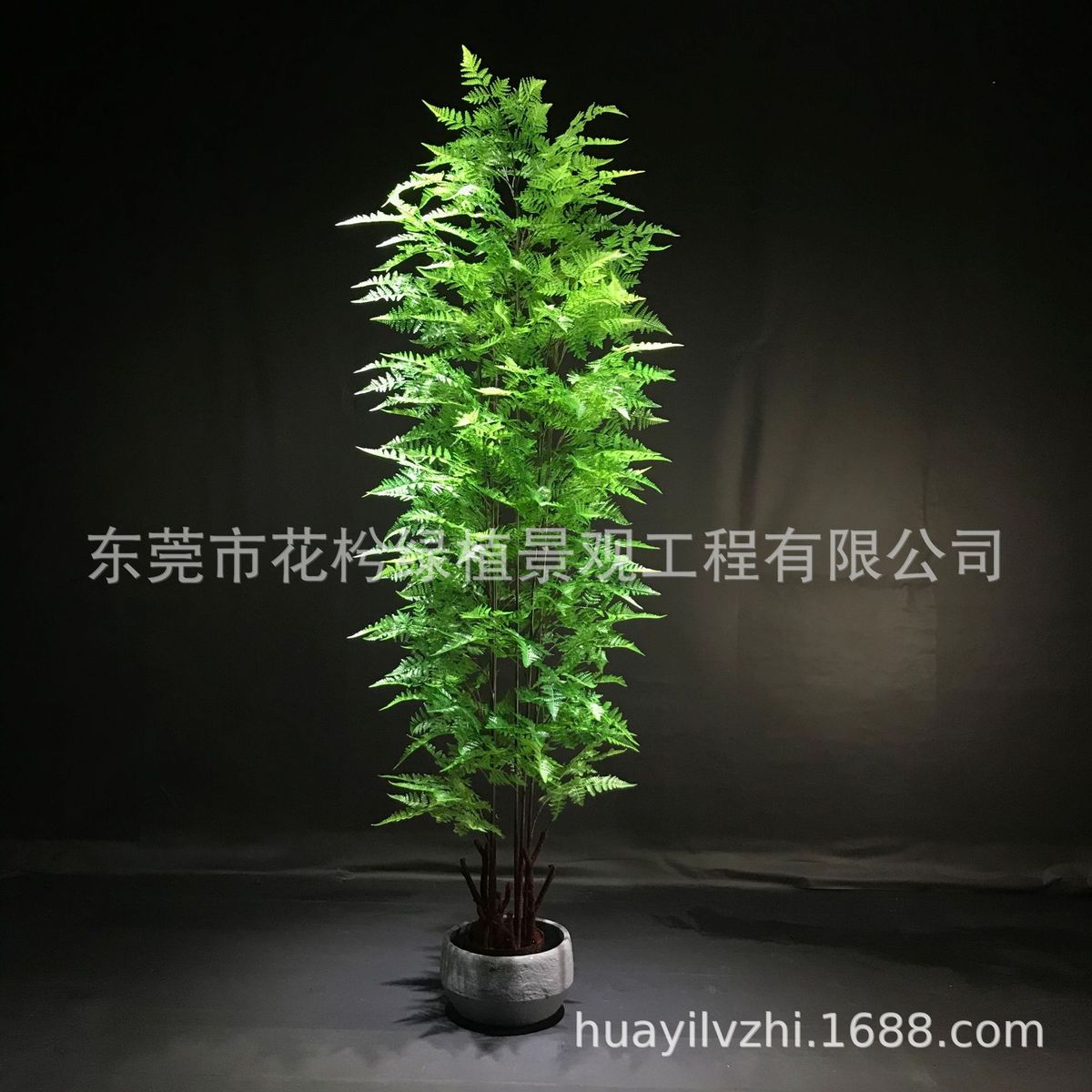 仿真草树马尾蕨蕨盆栽小树 仿真绿植 仿真波斯草树物盆栽家居装饰