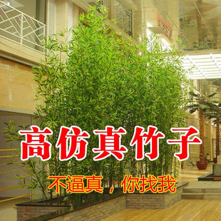 仿真竹子假竹子真室内装饰客厅绿植屏风隔断室外竹叶装饰四季禅意