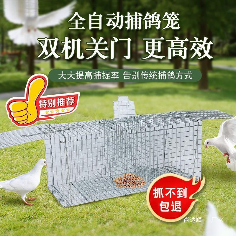捕鸽神器全自动捕鸽子笼天落笼只进不出抓鸽子笼双逮鸽笼户外