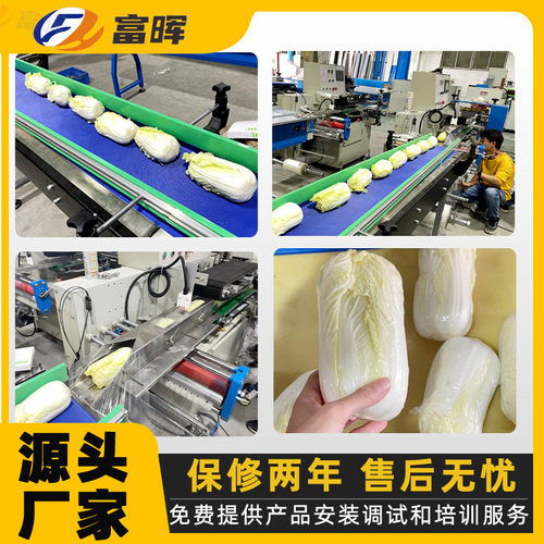 热销富供应厂家晖热收缩蔬菜包装机全自动化高速蔬果打包封口机
