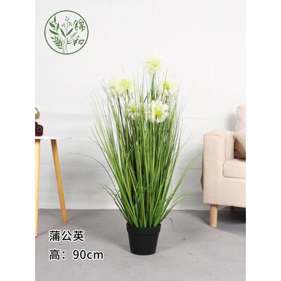 仿真狗尾巴草摆件苇草客厅室内盆栽天然蒲苇草装饰蒲草绿植批发芦