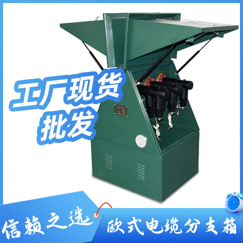 高低压欧式10kv环网柜分支箱分接箱转接箱t接箱双开门对接箱电缆