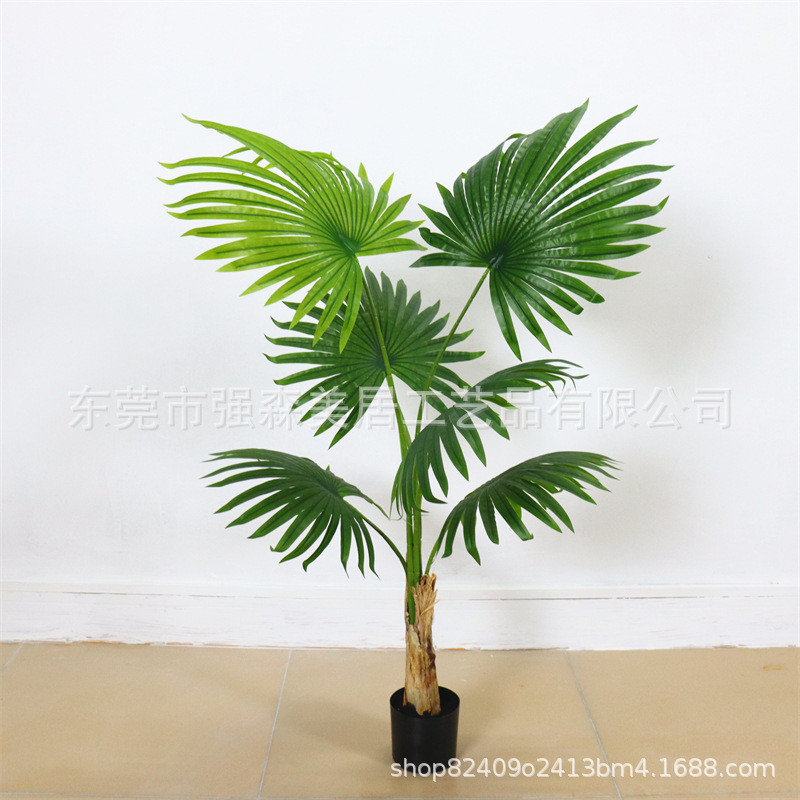 盆景蒲葵盆栽大型植物落地仿真室内装饰扇葵仿真加州蒲葵摆件批发