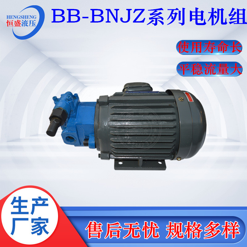 热销bb-b25njz-1b16nb32nb40nb80b100njz-1机组卧式齿轮油泵电立