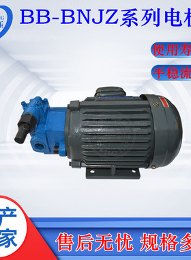 热销bb-b25njz-1b16nb32nb40nb80b100njz-1机组卧式齿轮油泵电立