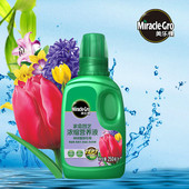 美乐百合种球种球营养液250ml20瓶 箱风信子郁金香棵用