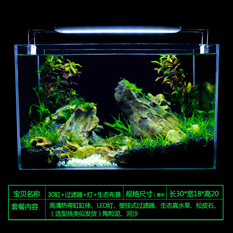真水草鱼缸水族箱小型客厅办公室桌面家用生态草缸装饰布造景套餐