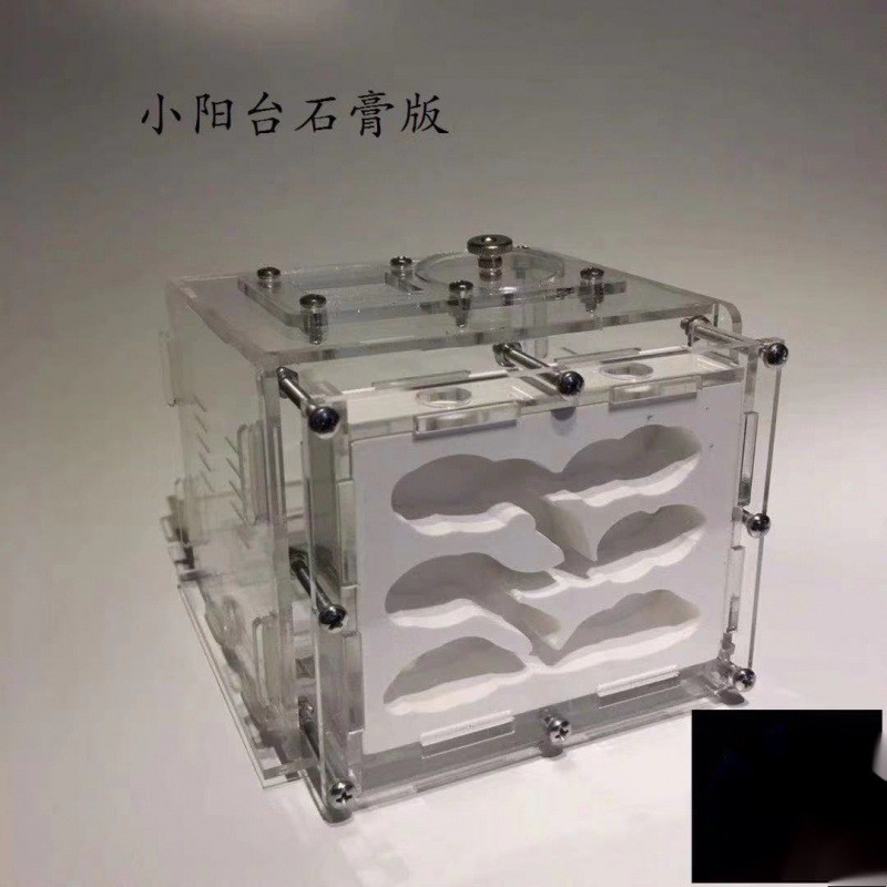 石膏蚁巢巢生亚克力城堡试管宠物生日特硬蚁巢宠物混凝土散装长宽