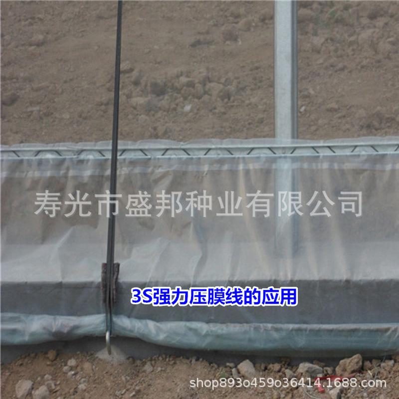 供应3s强力压膜带压膜线压膜绳大棚专用拱棚春秋棚物资