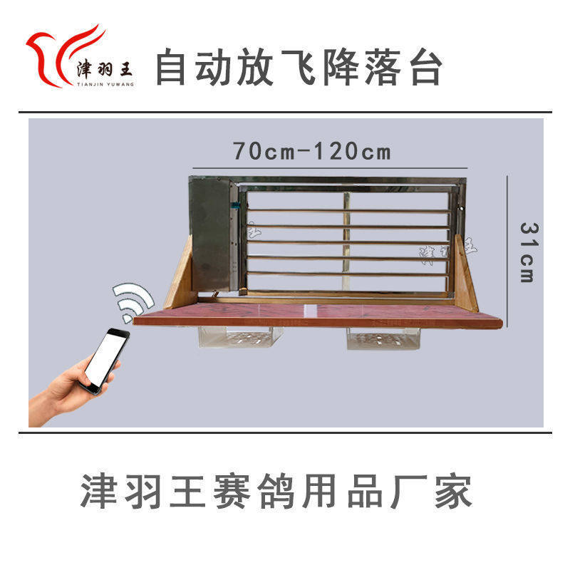 鸽子降落台进门用具信鸽自动门用品器放飞门跳笼培养鸽笼撞门