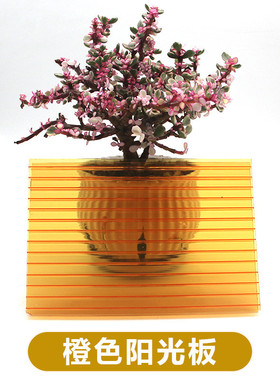 热销黄色橙色pc阳光板婚庆板空心板蜂窝中双层4/6mm彩色道具装饰