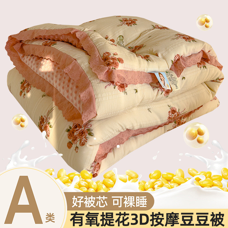 豆豆冬被春秋花边大豆被韩版被芯ins儿童夏被宿舍家用保暖批发