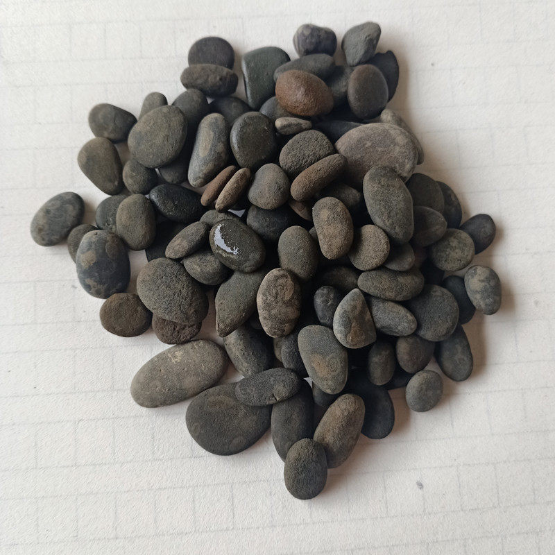 源头直供底沙黑工沙铁胆石溪流砂黑壳虾增色砂鱼缸铁胆沙