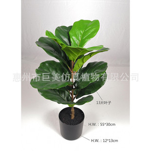 葫直销仿真琴叶榕圆叶橡胶树琴叶橡皮树餐厅装饰假树工厂芦叶来图