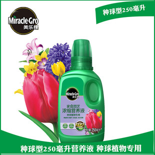 美乐棵种球营养液250ml20瓶/箱百合种球郁金香风信子用