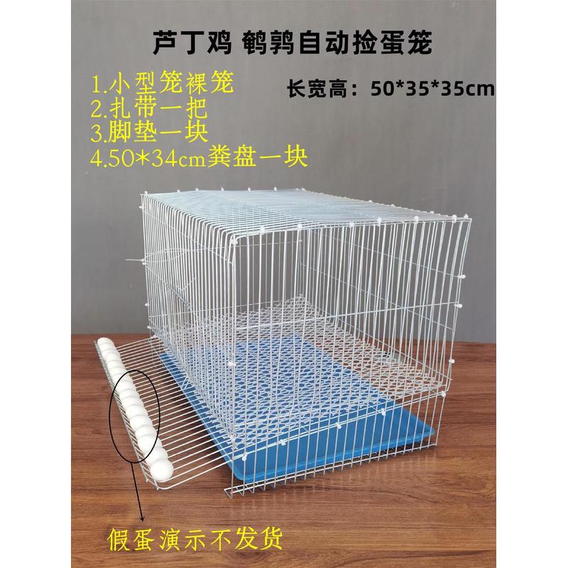芦丁鸡笼家养加密小鸡笼自动饮水铁丝镀锌殖笼养芦丁鸡产蛋笼