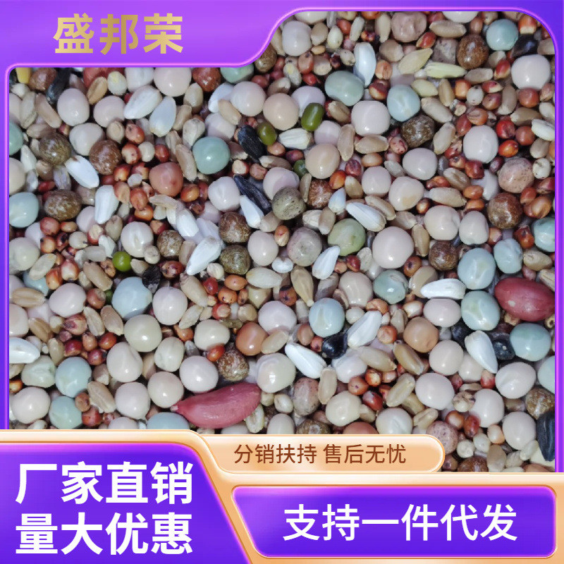 鸽粮50斤包邮a级无玉米幼鸽一品鸿鸽赛鸽肉鸽鸽子饲料鸽子料鸽粮