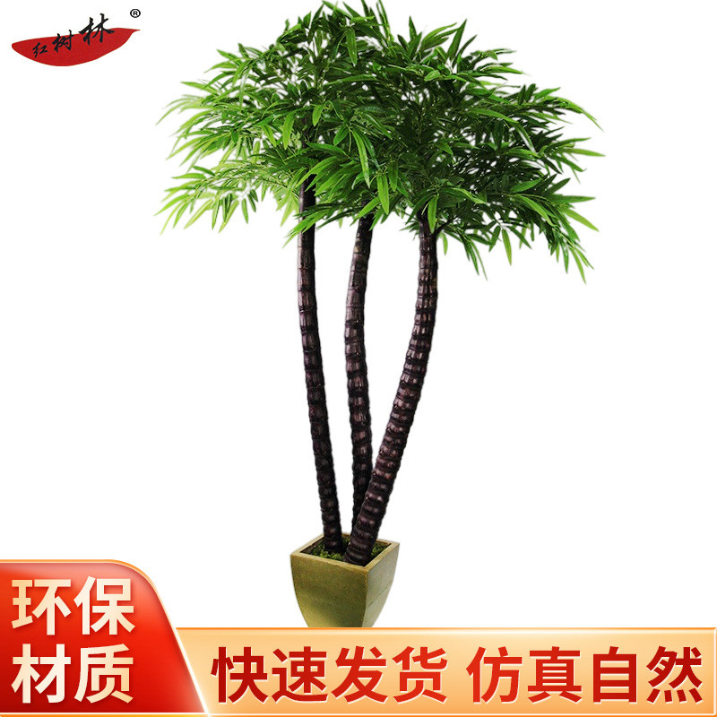 佛肚竹紫竹盆景室内酒店走廊装饰物厂家批发美化盆紫竹佛肚竹竹