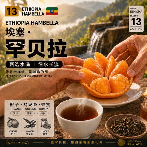 古吉·罕贝拉G1·甄选水洗处理·浅烘 埃塞俄比亚手冲咖啡豆