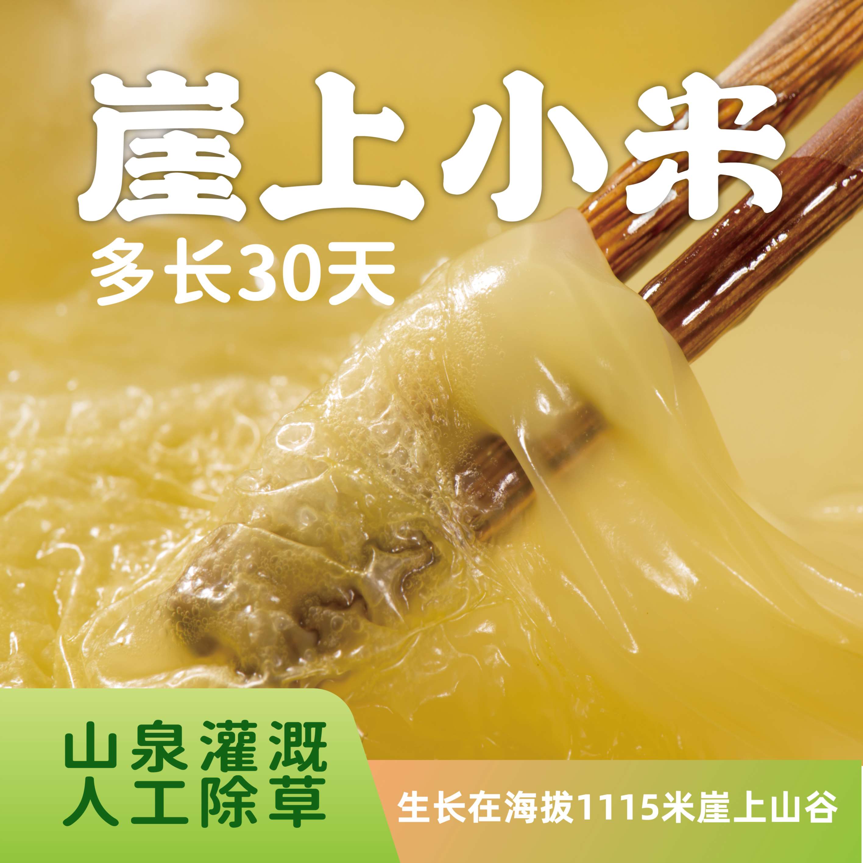 2025新小米崖上种植羊肥黄小米油多易煮带胚芽多长30天2斤