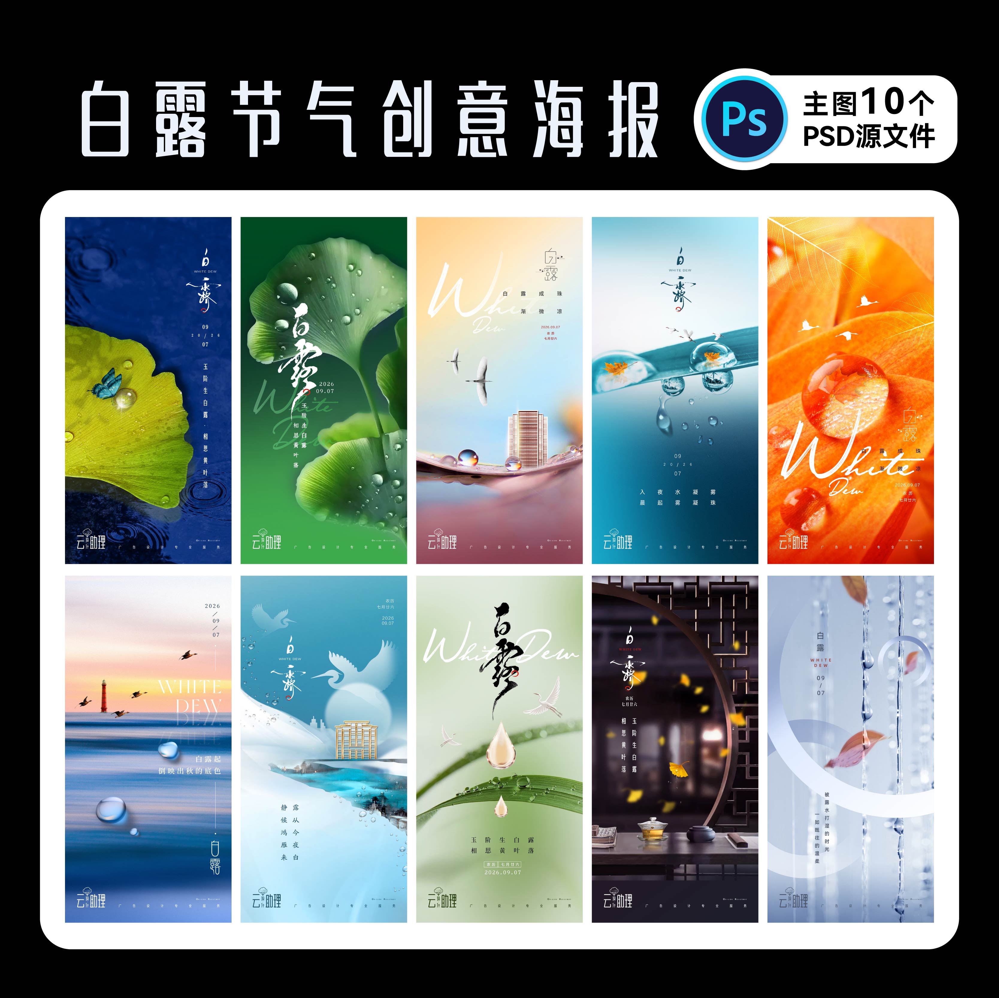 白露海报24节气素材PSD文件素材