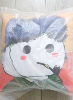 小贱人魔性周边方形抱枕靠枕