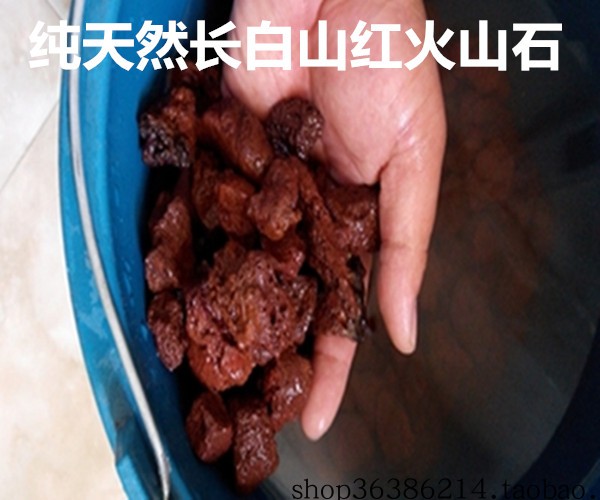 12斤火山石玄武岩正品多肉盆景栽培绿化附生兰花卉园艺营养土植料