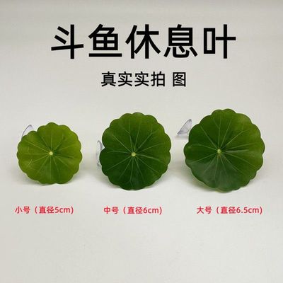 斗鱼床睡觉休息产卵水族鱼缸造景摆件仿真叶子鱼宠物装饰躲避荷叶