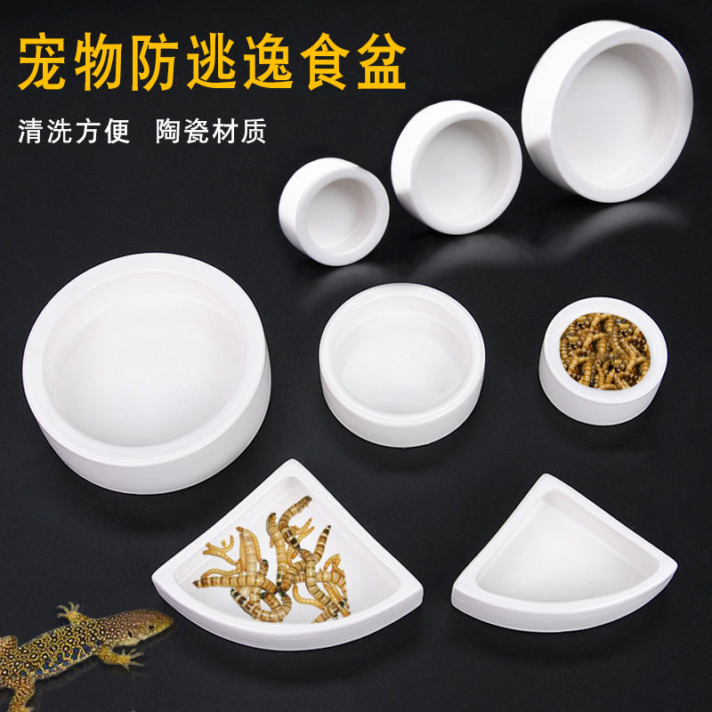 爬虫防逃逸食盆陶瓷防逃脱守宫