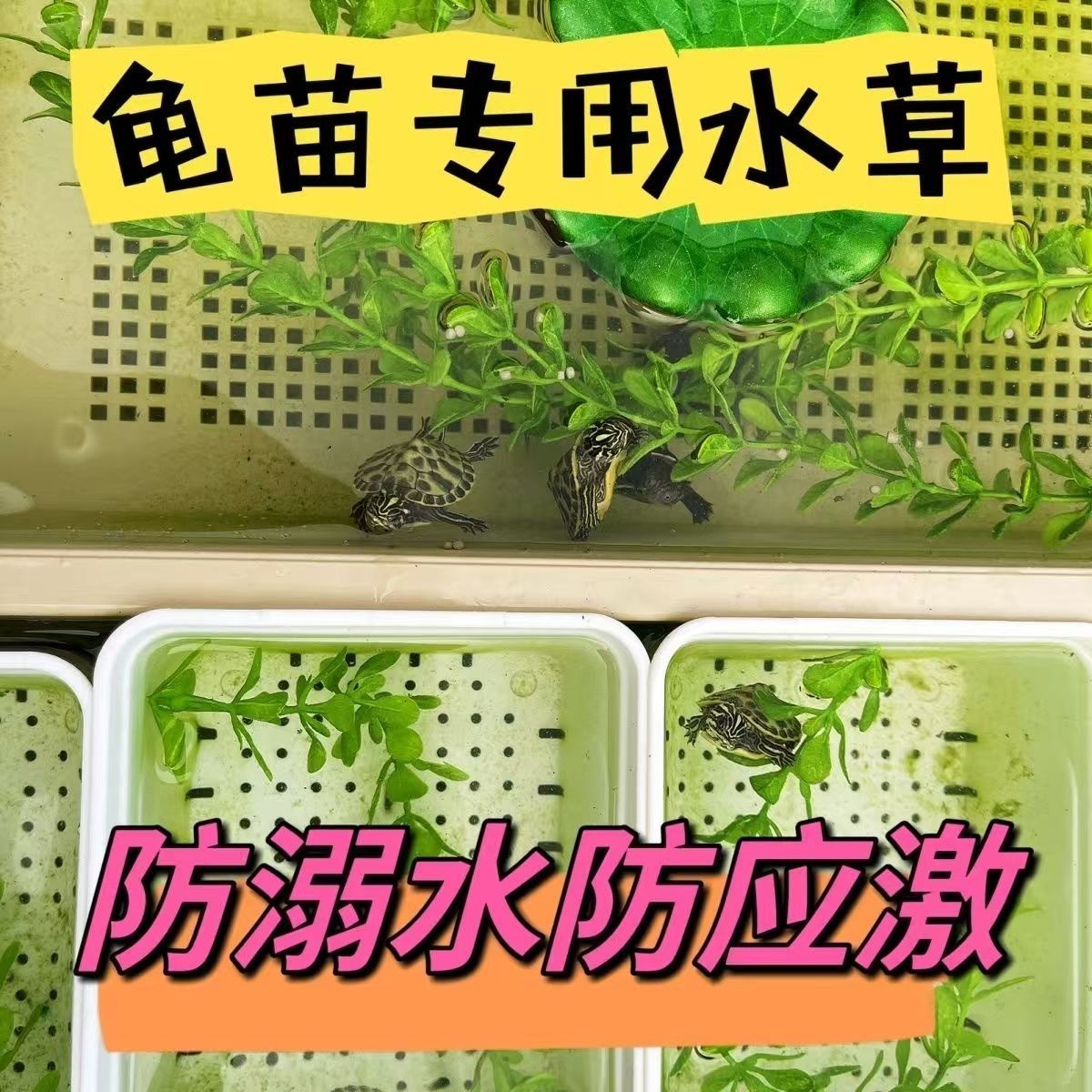 乌龟发色用仿真水草海带款造景