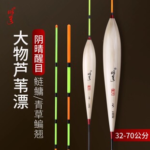 明孚芦苇浮漂浅水打浮鲢鳙翘嘴行程草鱼大物漂醒目加粗阴天尾鱼漂