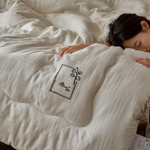 2025新款A类全棉华夫格棉花被子简约透气吸汗新疆棉花冬被加厚