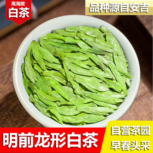 【明前龙形白茶】正宗高档浙江安吉磐安高山茶叶手工扁茶礼盒绿茶