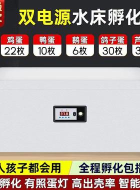 孵化器小型家用水床孵化箱泡沫孵化受精鸡鸭鹅鸽子芦丁鸡蛋孵蛋器