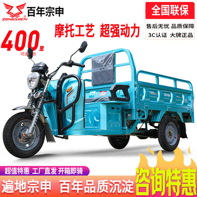 宗申电动三轮车电瓶车快递车货运家用/农用载重摆摊拉货建材车TL2