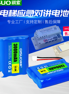 电梯RKP220/12V应急照明灯电源锂电池组五方通话适用德凌/富士通