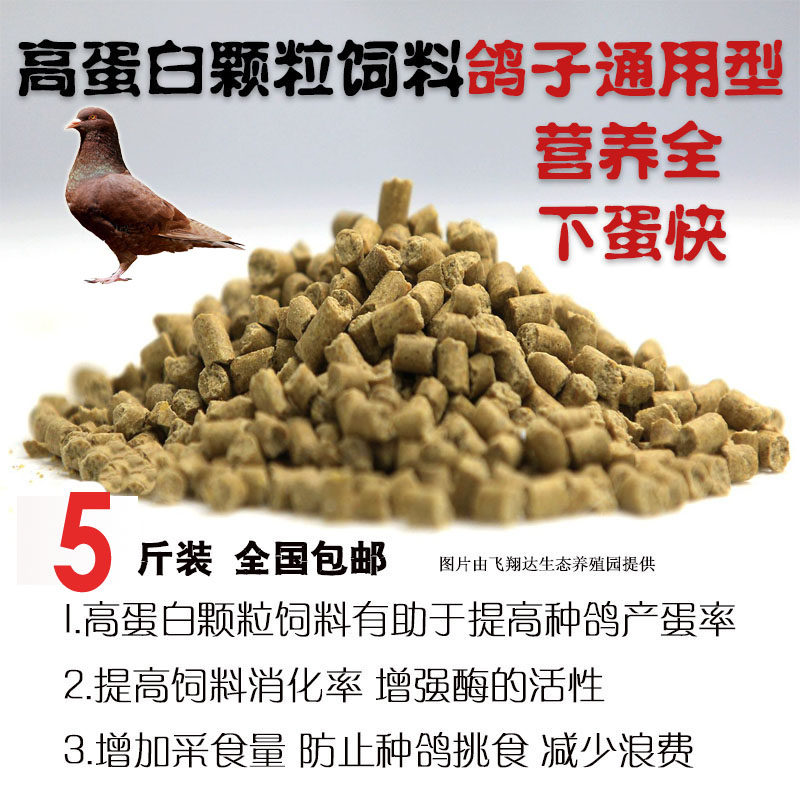5斤鸽子颗粒饲料肉鸽饲料信鸽饲料广场鸽饲料鸽粮50斤包邮鸽子料