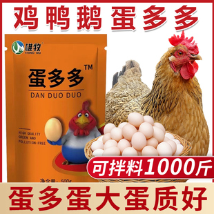 鸡鸭鹅禽用产下蛋多多产蛋灵增蛋素宝灵散软壳蛋兽用鹌鹑用下蛋宝