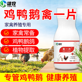 雄牧禽一片饲料添加剂鸡鸭鹅专用呼吸道问题发热拉肚家禽常备鸡用
