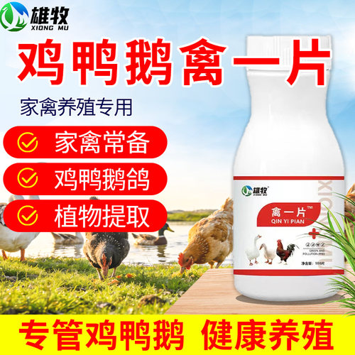 雄牧禽一片饲料添加剂鸡鸭鹅专用呼吸道问题发热拉肚家禽常备鸡用