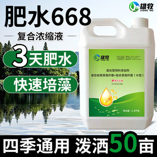 雄牧肥水668水产养殖专用花白鲢大头鱼低温肥水宝培菌藻育苗产品